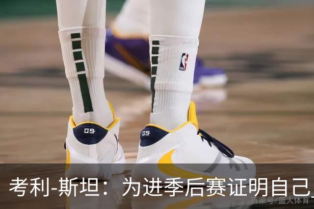 考利-斯坦：为进季后赛证明自己 我拒了黄蜂的900万去勇士拿底薪